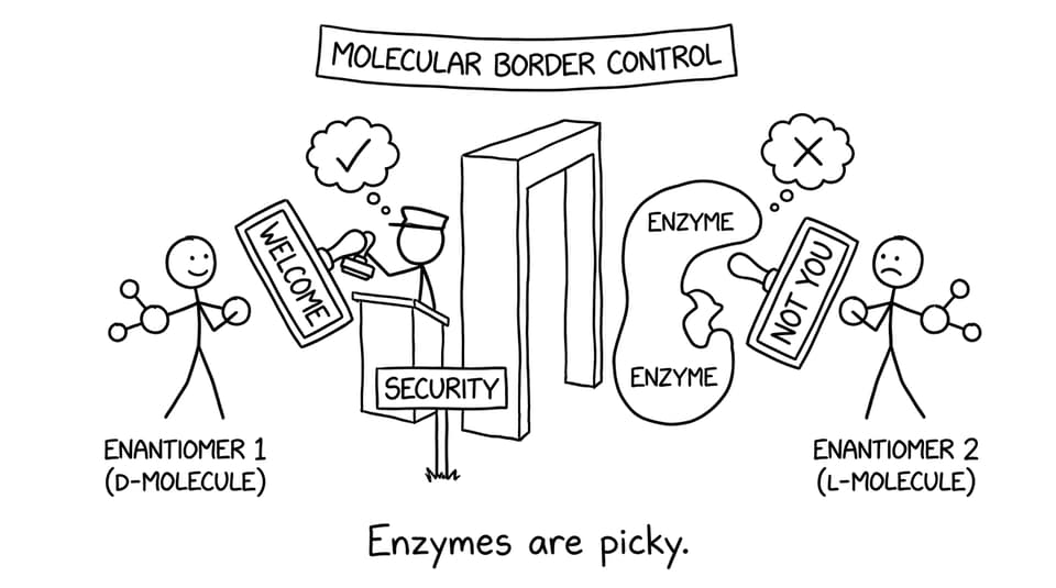 Enantiomer at a security checkpoint