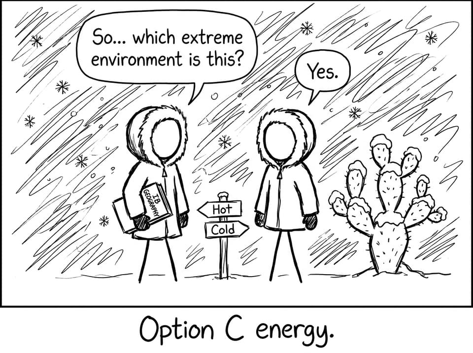 Hot vs Cold Option C energy