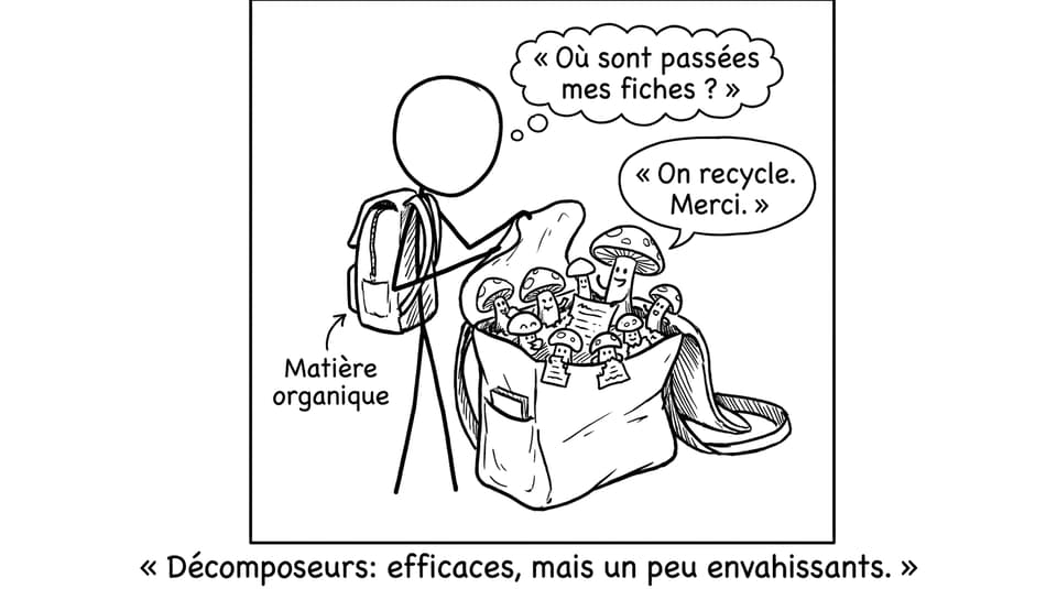 Décomposeurs dans le sac -- humour IB