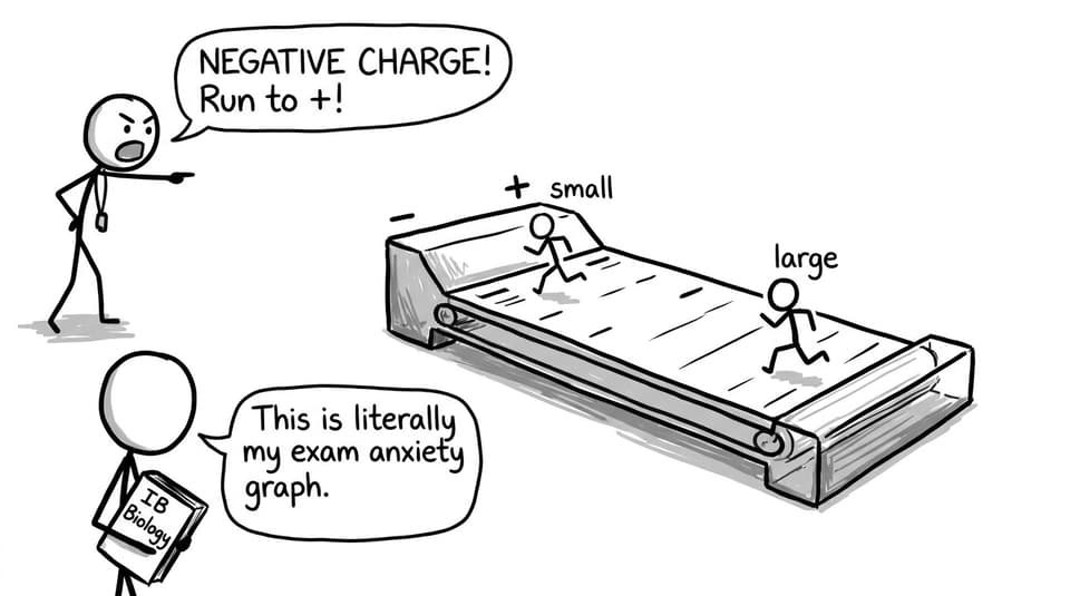 Gel electrophoresis as a treadmill race