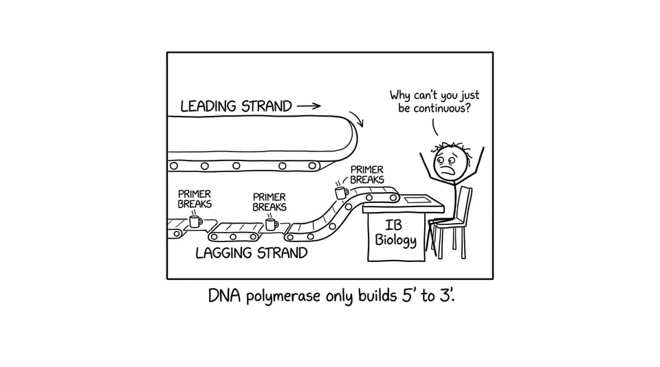 A stressed IB student watching leading and lagging strands