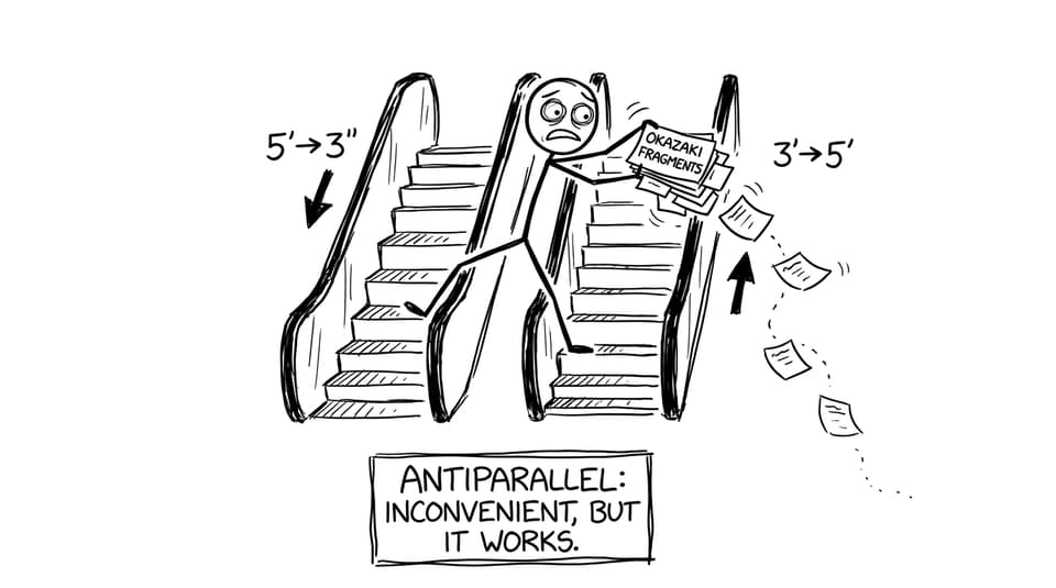 Two escalators going opposite directions with sticky notes falling
