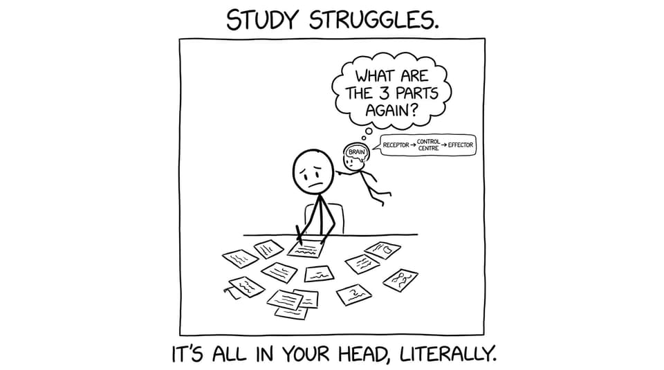 Flashcards procrastination scene
