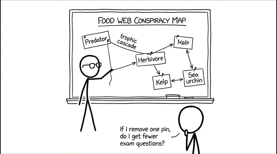 A food web becomes an exam conspiracy board