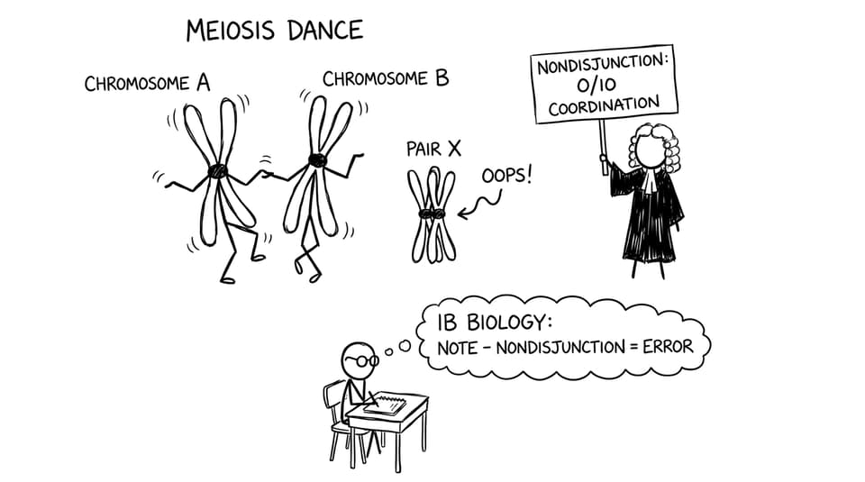 Meiosis dance with nondisjunction judge