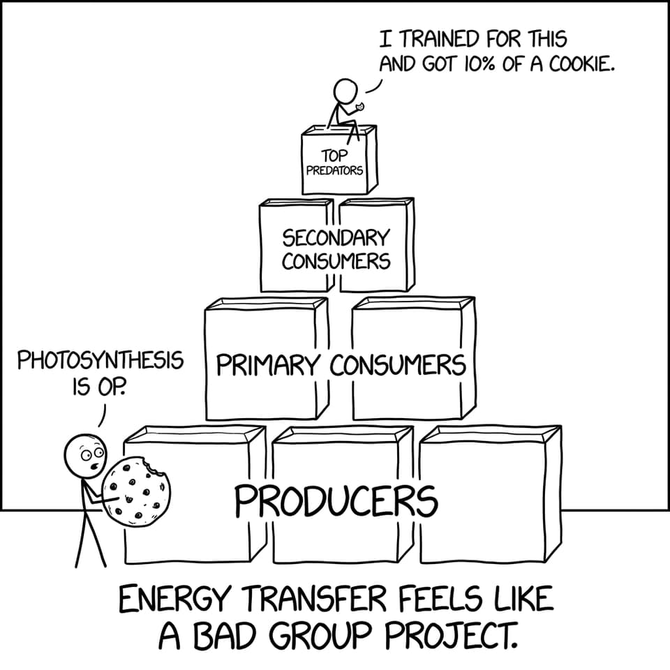 Energy pyramid made of snack boxes and cookie crumbs