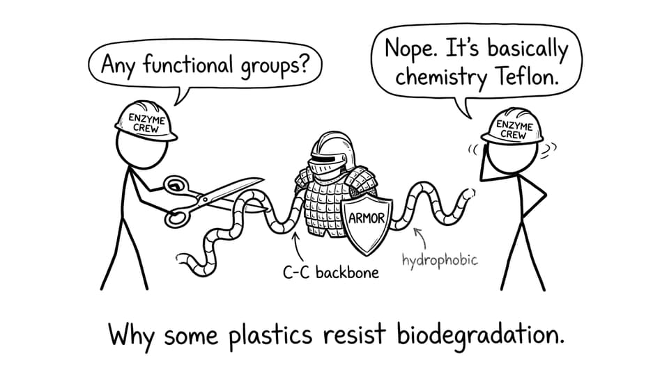 Microbes try to cut an armored C-C backbone polymer