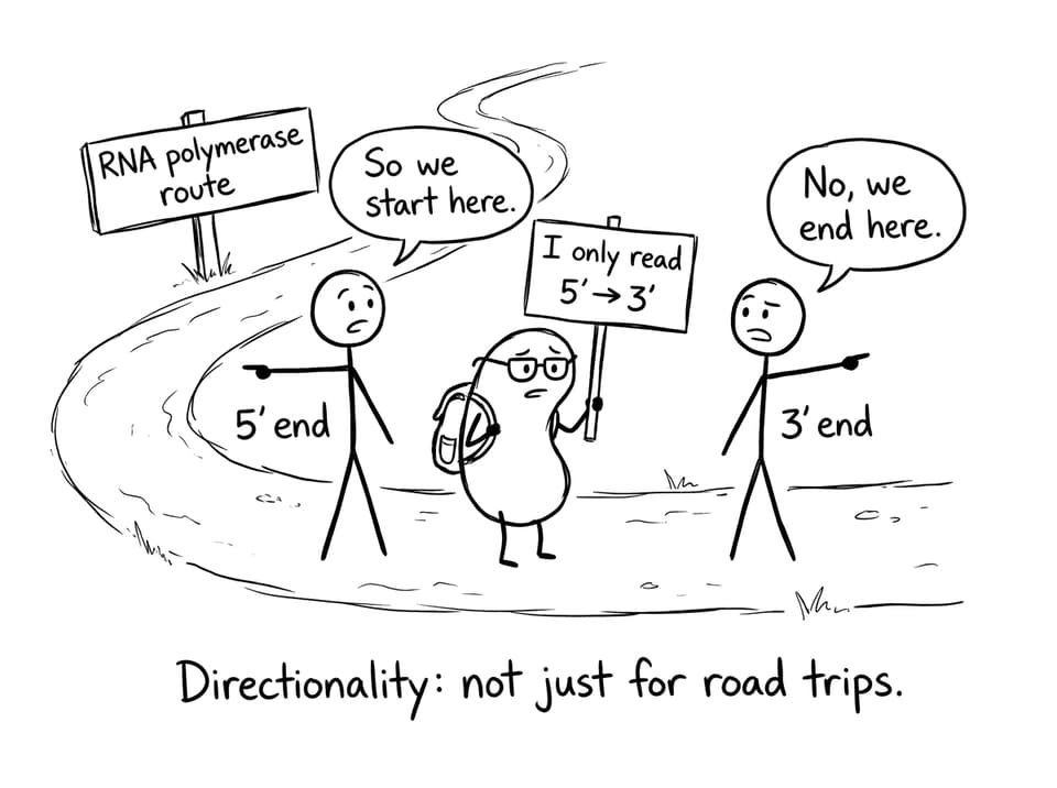 Directionality as a hiking argument