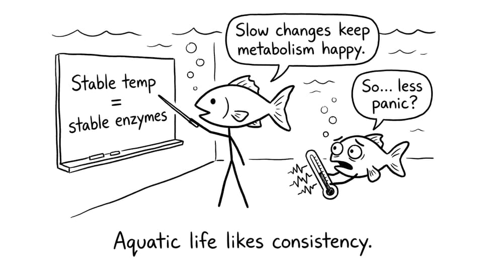 Aquatic life likes consistency