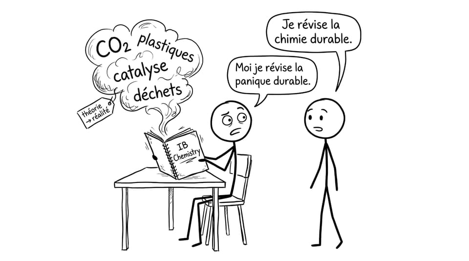 Révision et panique durable
