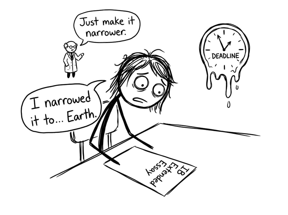 IB Extended Essay scope panic comic