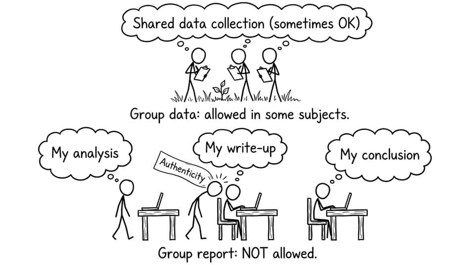 Group data collection but individual analysis