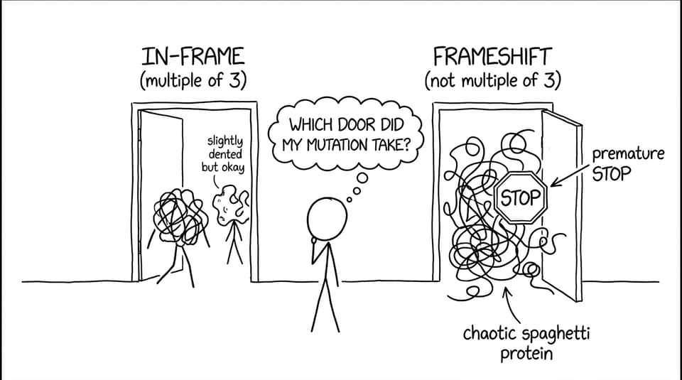 In-frame vs frameshift doors