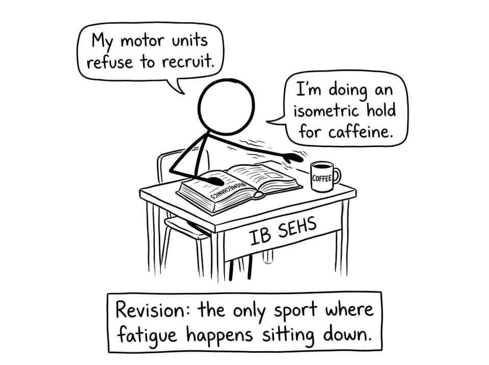 IB SEHS revision fatigue comic