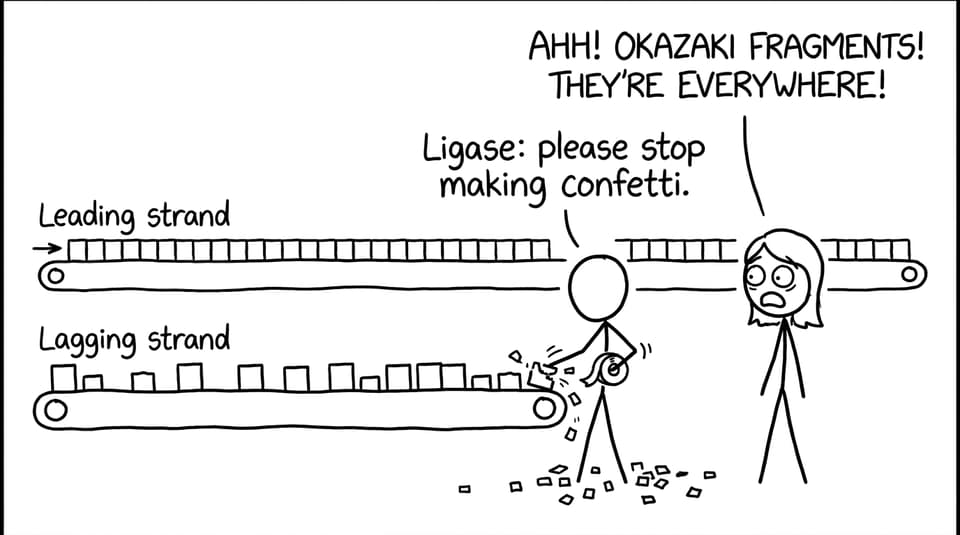 Leading vs lagging joke