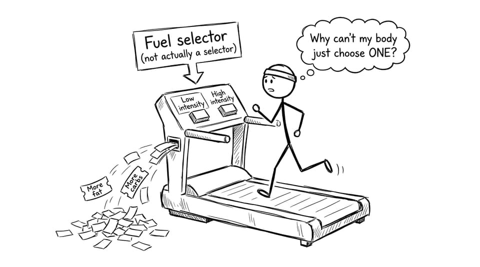 Fuel selector (not actually a selector)