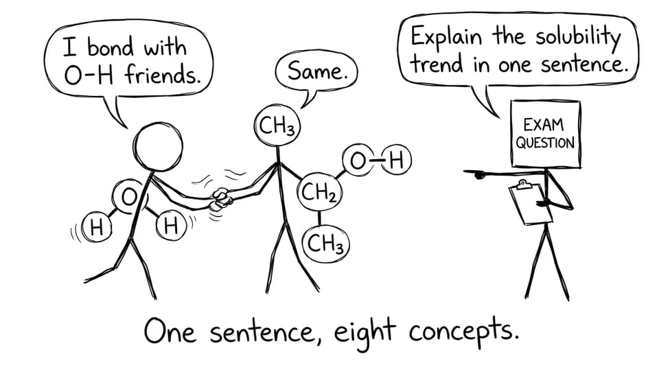 Water and ethanol try to bond while the exam demands one sentence