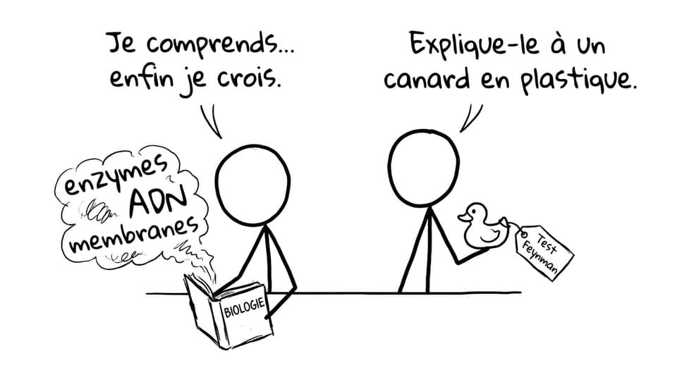 Un canard en plastique pour tester ta compréhension