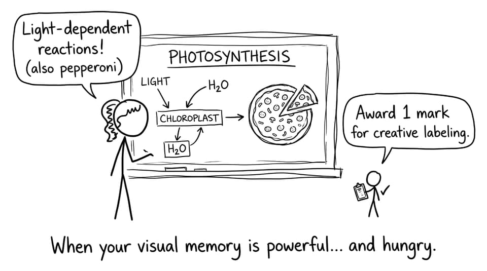 A diagram becomes a pizza while studying