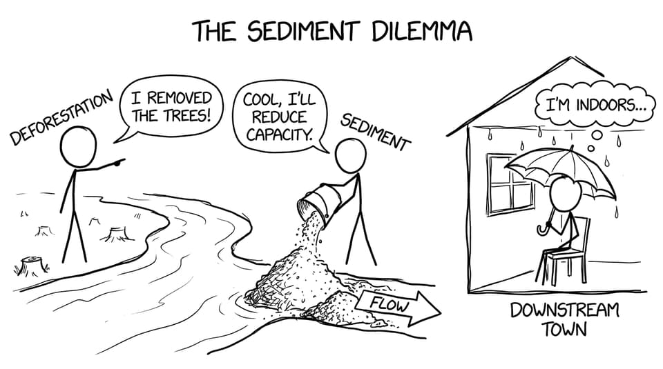 Deforestation and sediment start a “team project”