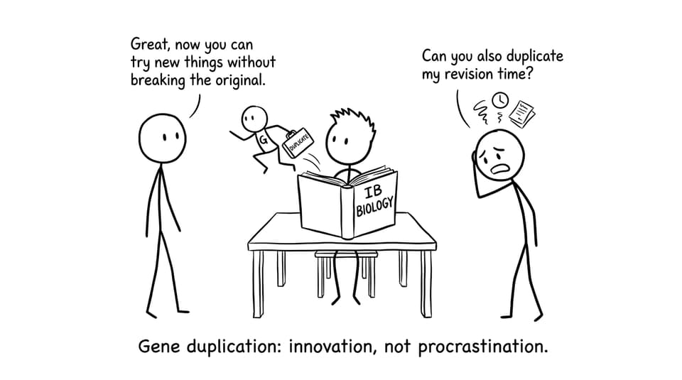 Gene duplication comic relief