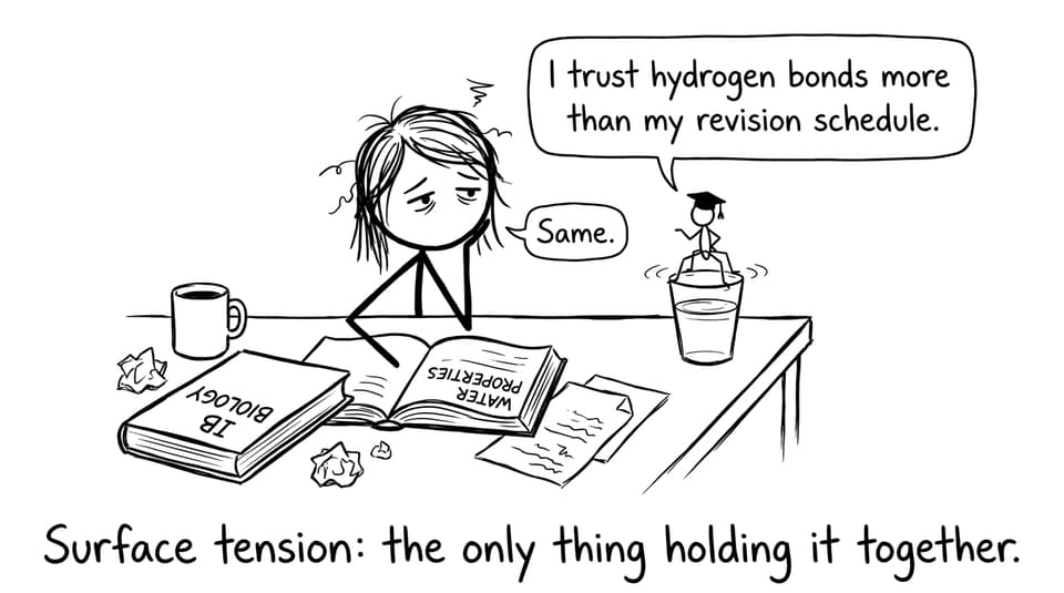 An IB student and a water strider joke about surface tension