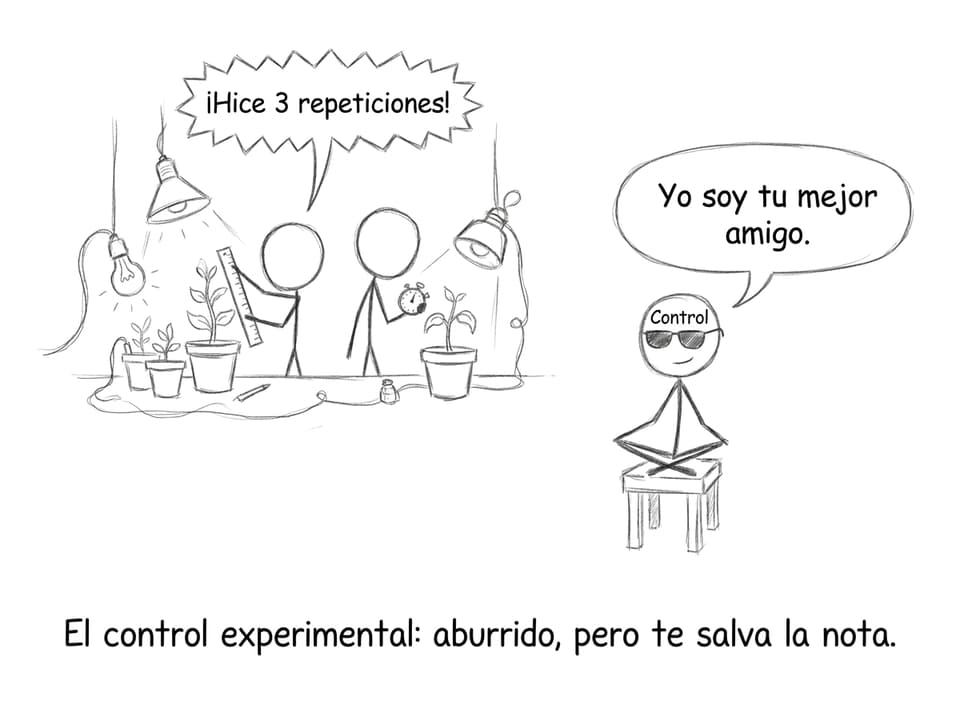 El control experimental: aburrido, pero te salva la nota.