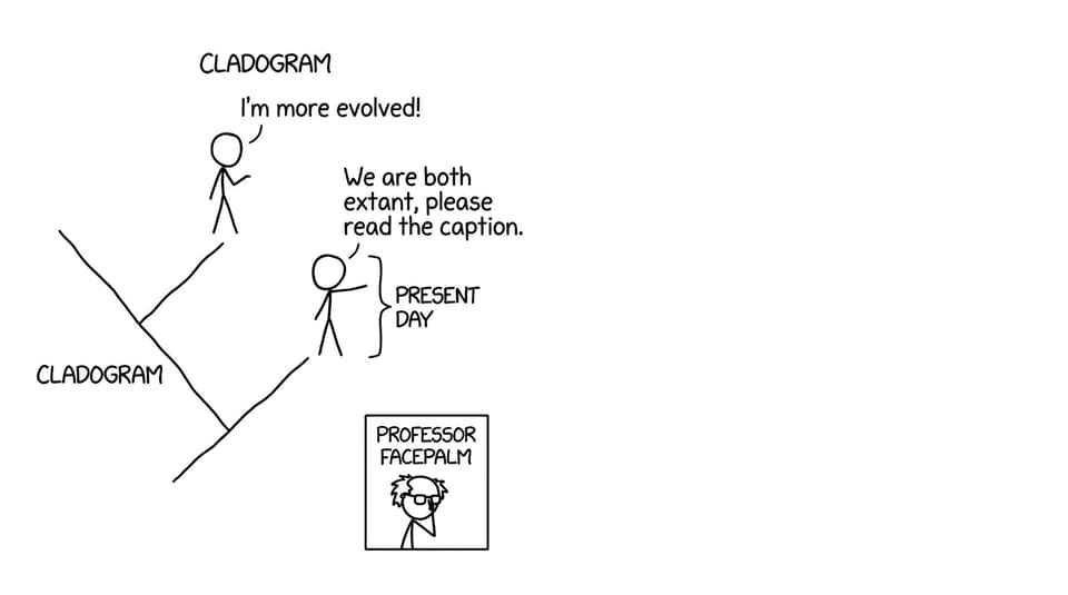 Two species arguing about being “more evolved”