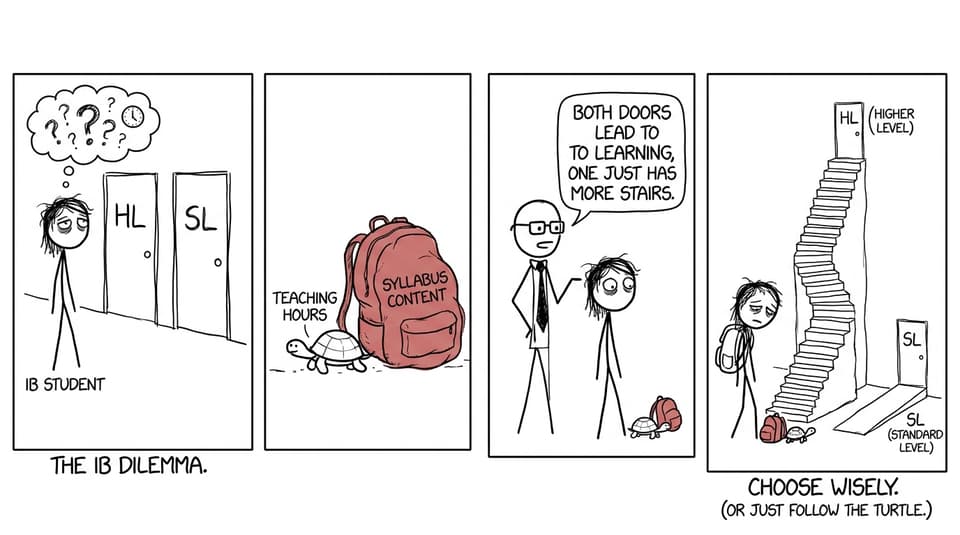 IB student choosing HL vs SL