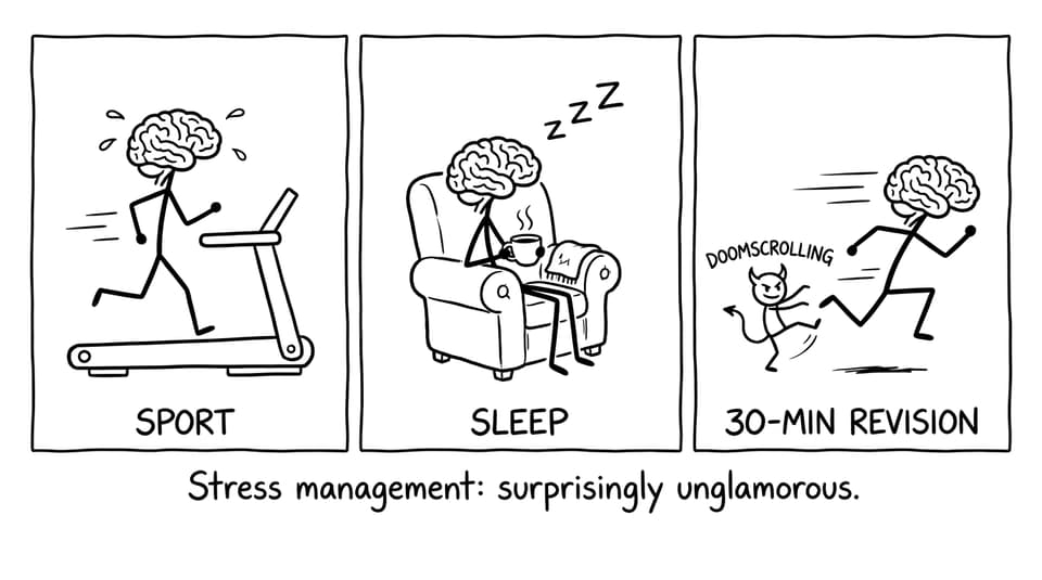 Brain treadmill vs sleep vs 30-min revision; doomscrolling fails to trip it