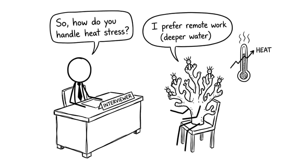 A coral reef at a job interview about “heat stress”