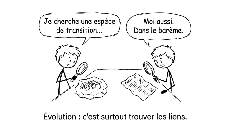 Évolution: trouver les liens