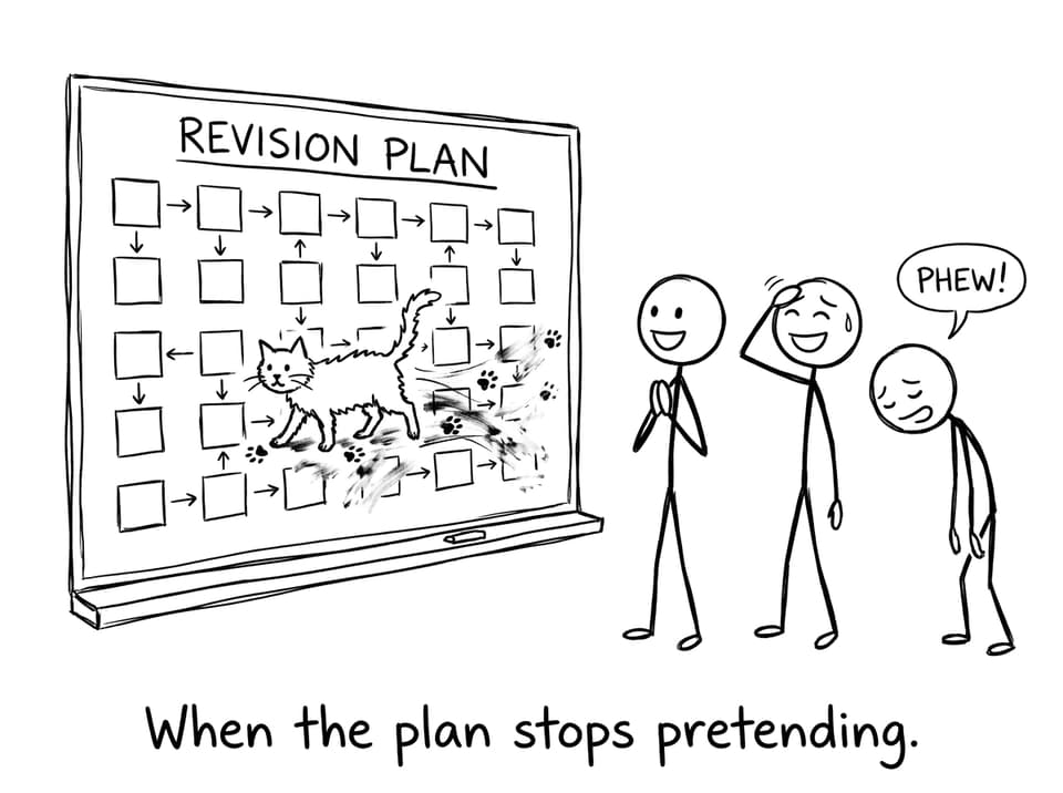 A cat smears a perfect revision plan whiteboard and everyone looks relieved
