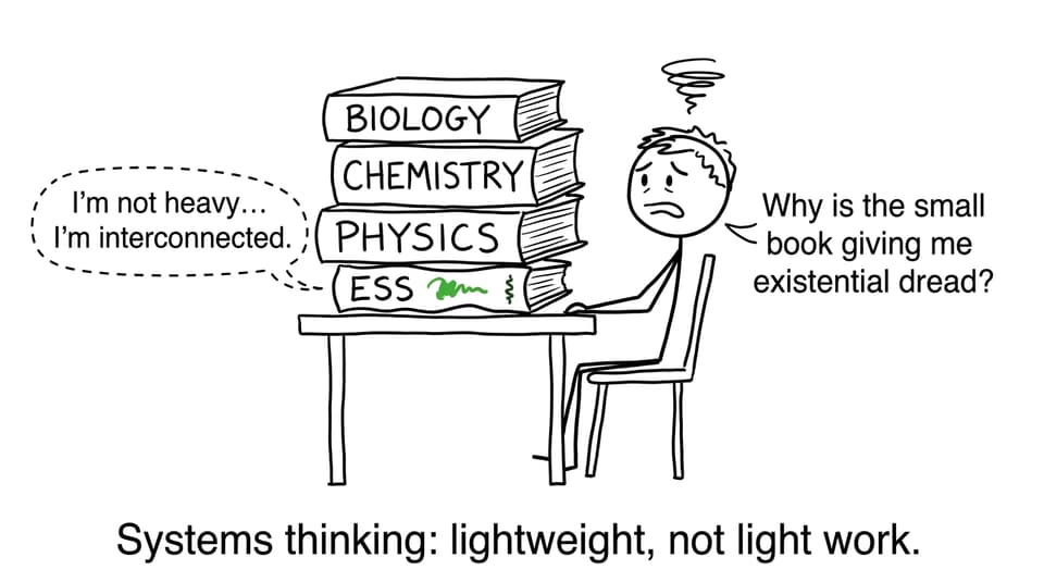 Systems thinking: lightweight, not light work
