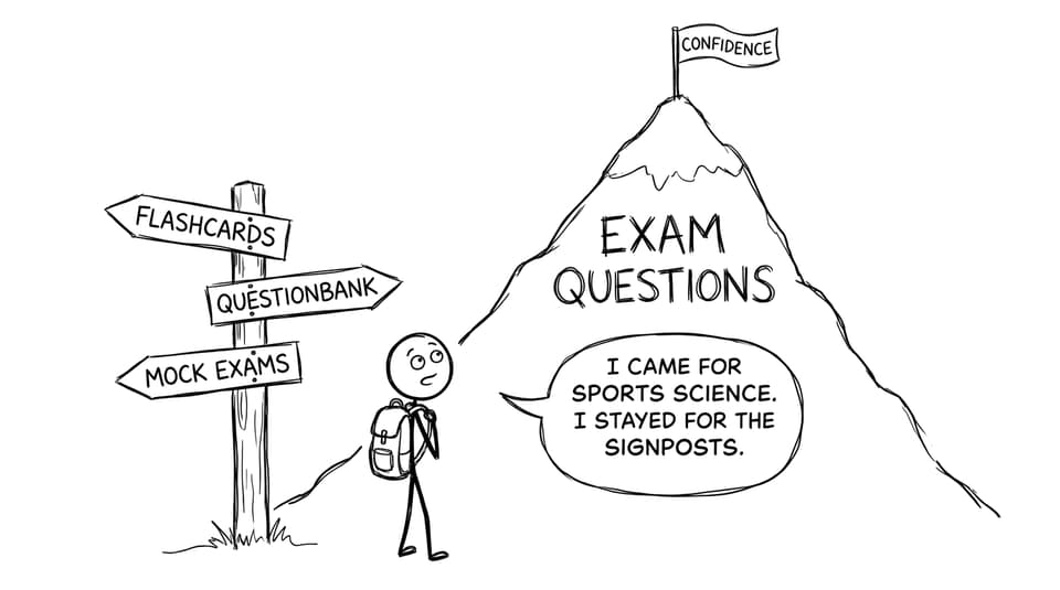 A mountain of exam questions comic