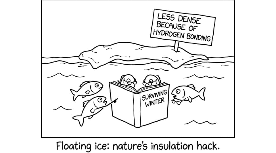 Fish reading under floating ice