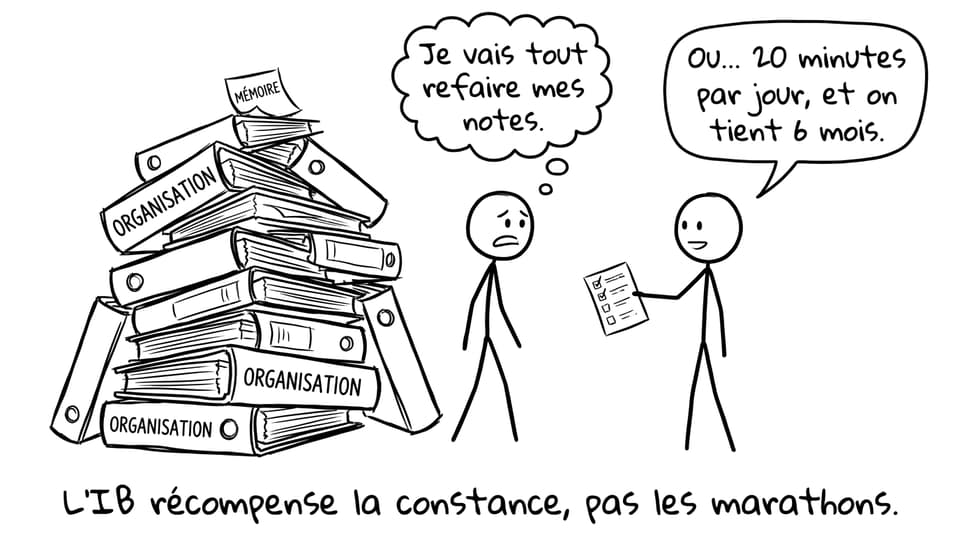 Organisation vs constance