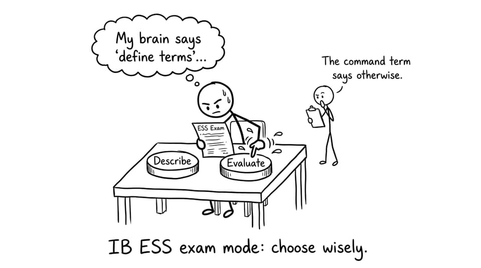 Student choosing between Describe and Evaluate