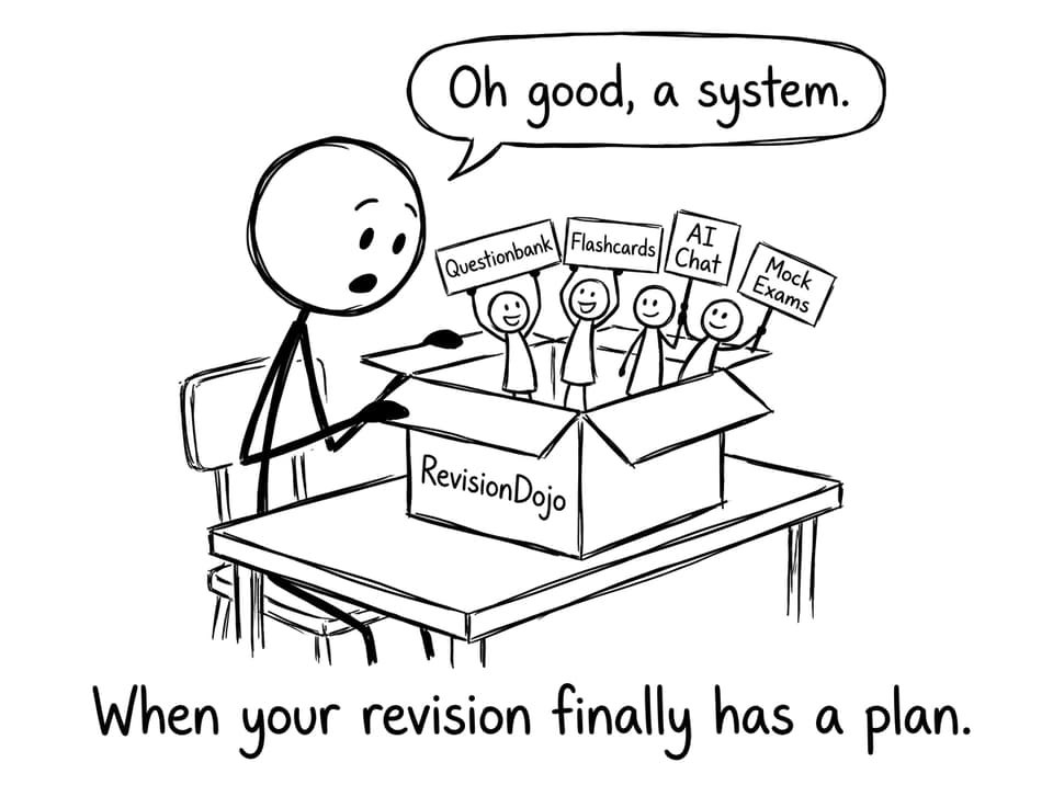 Comic: When your revision finally has a plan