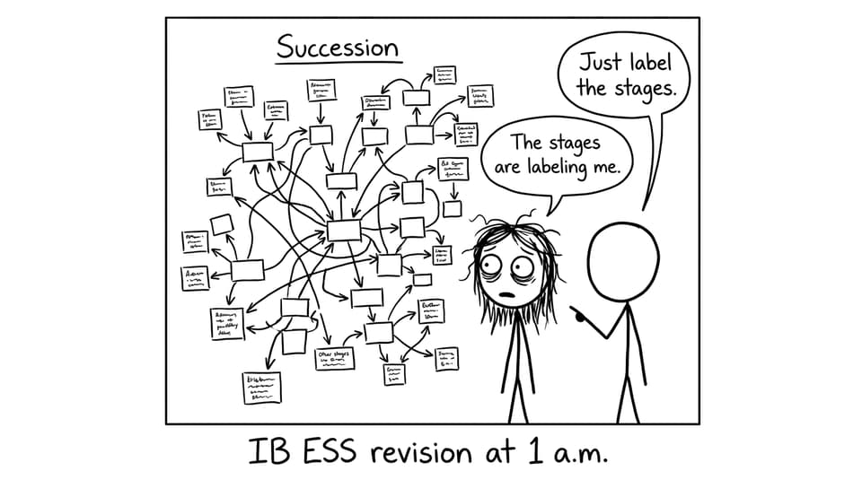 Student vs the endless succession flowchart