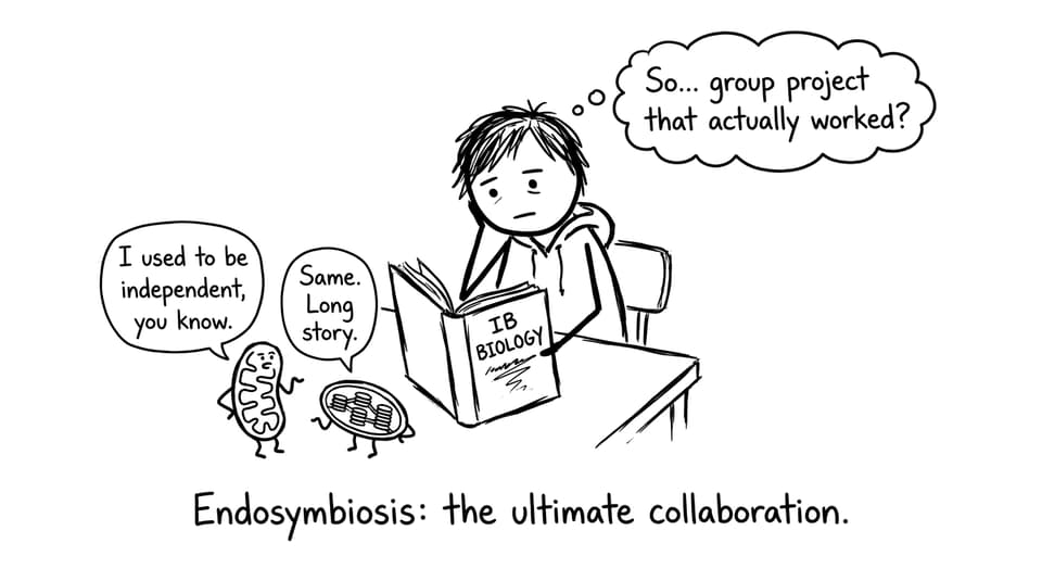 Endosymbiosis: the ultimate collaboration.