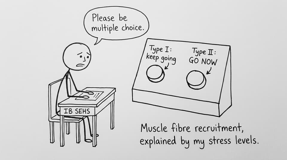 IB SEHS buttons comic