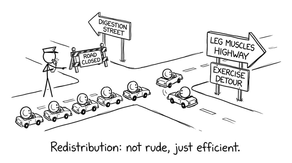 Red blood cells deal with an exercise detour like city traffic