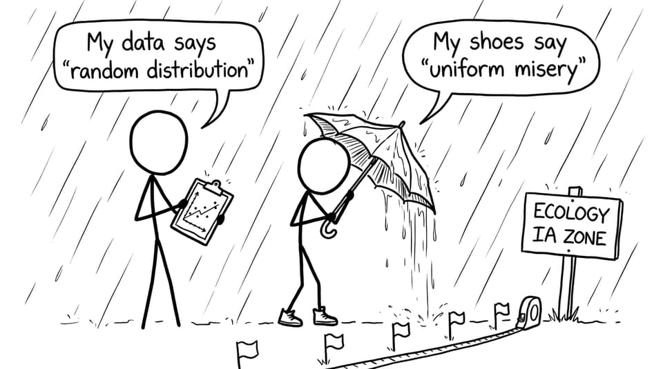 Transect in the rain comic