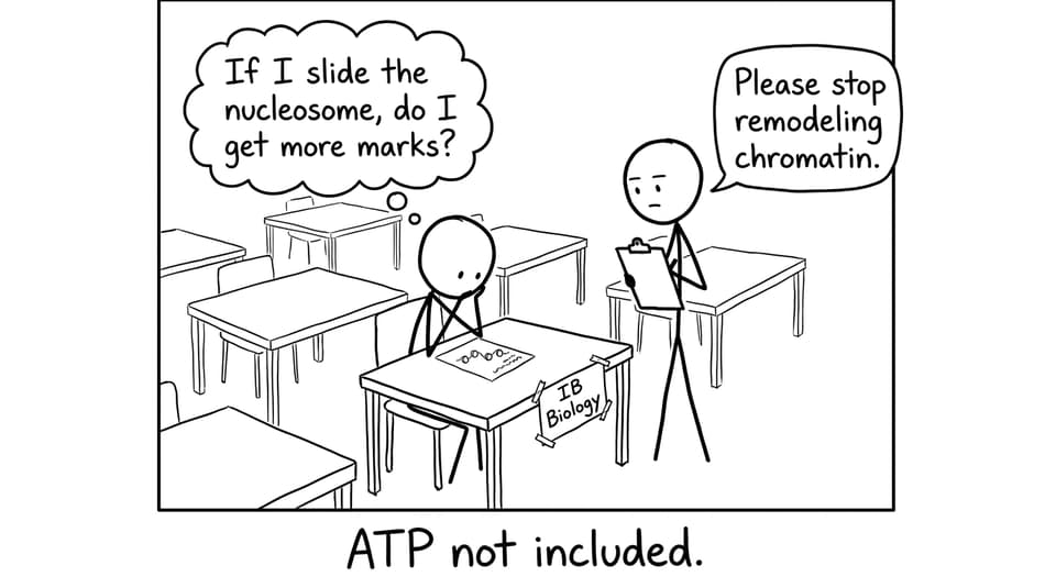 Comic: Exam hall chromatin remodeling