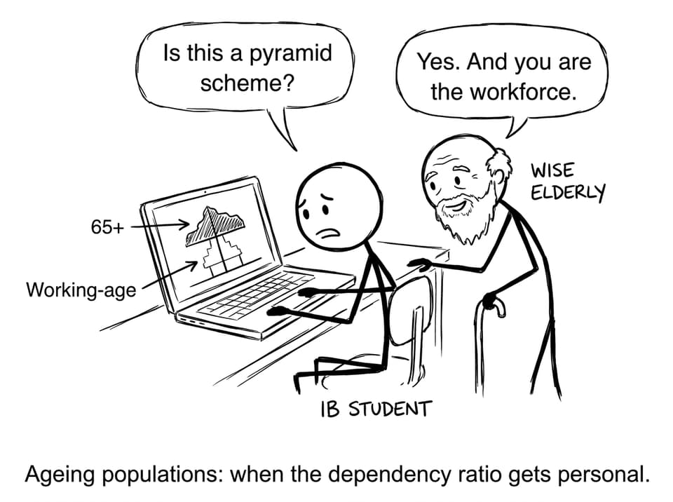 IB student vs population pyramid joke