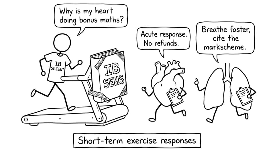 Student on treadmill with heart and lungs coaching