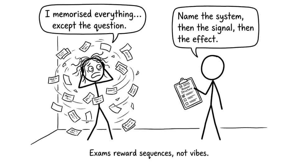 IB SEHS answer structure comic