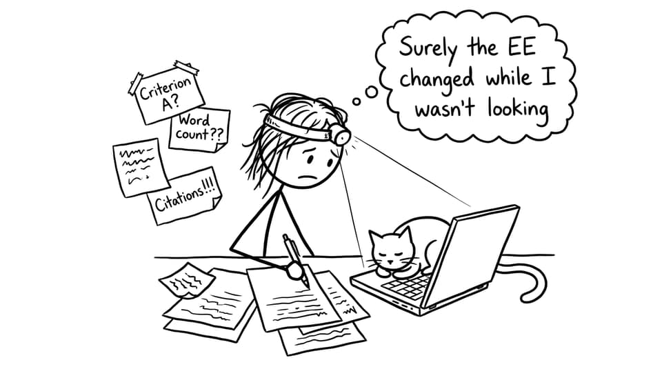 Final edit mode: headlamp, sticky notes, cat on keyboard