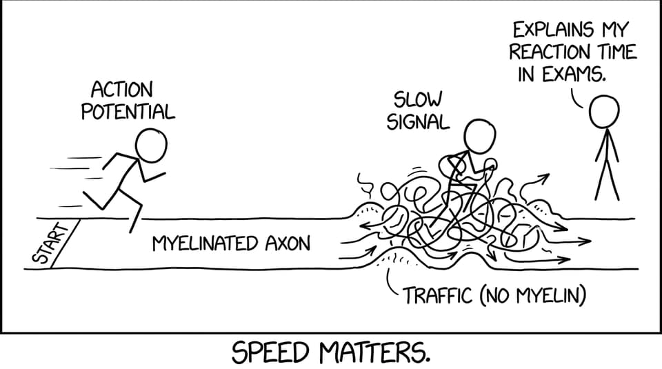 Action potential speed comic